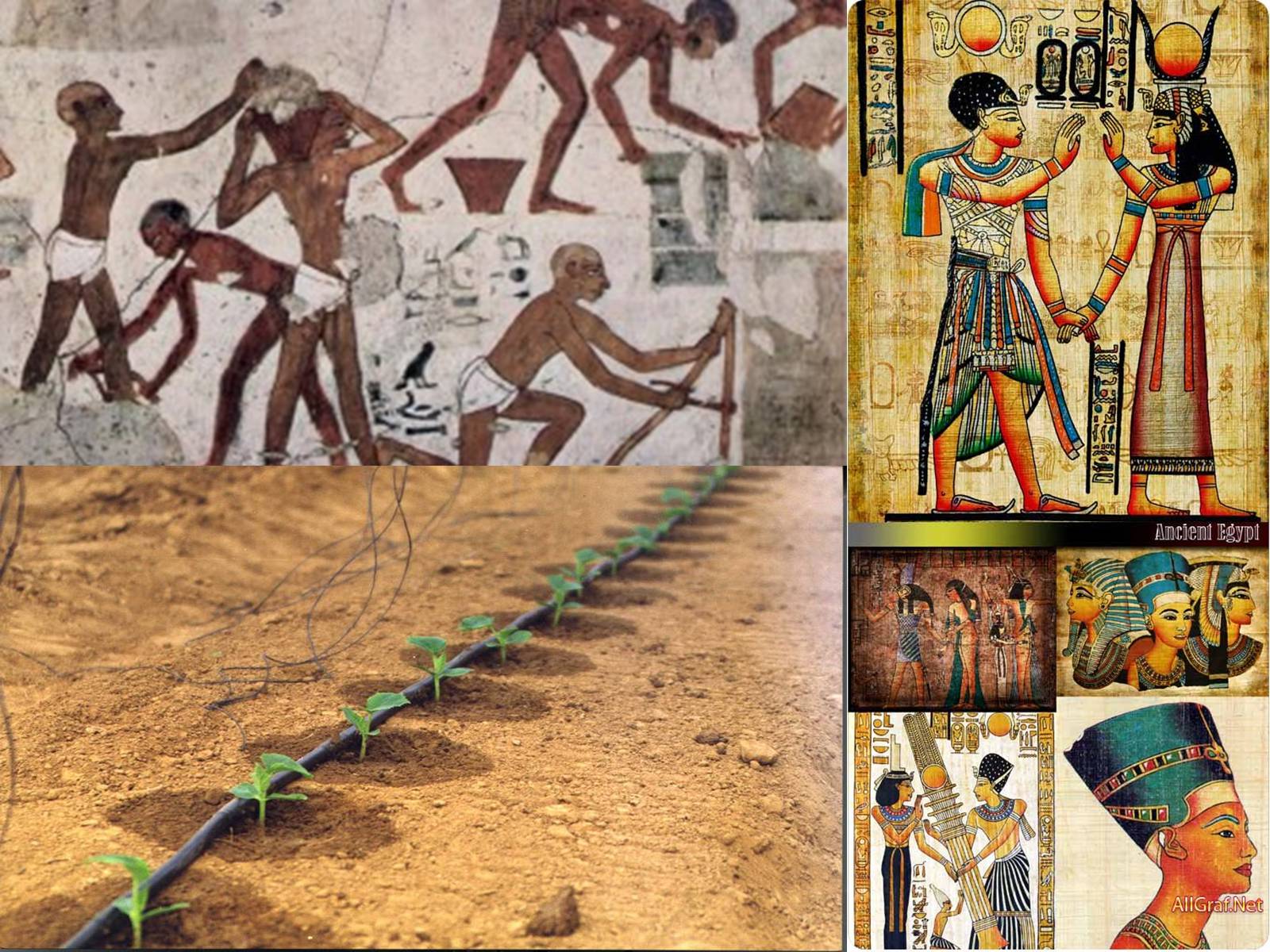 Презентація на тему «Особливості взаємодії природи та суспільства Давнього Єгипту» - Слайд #16