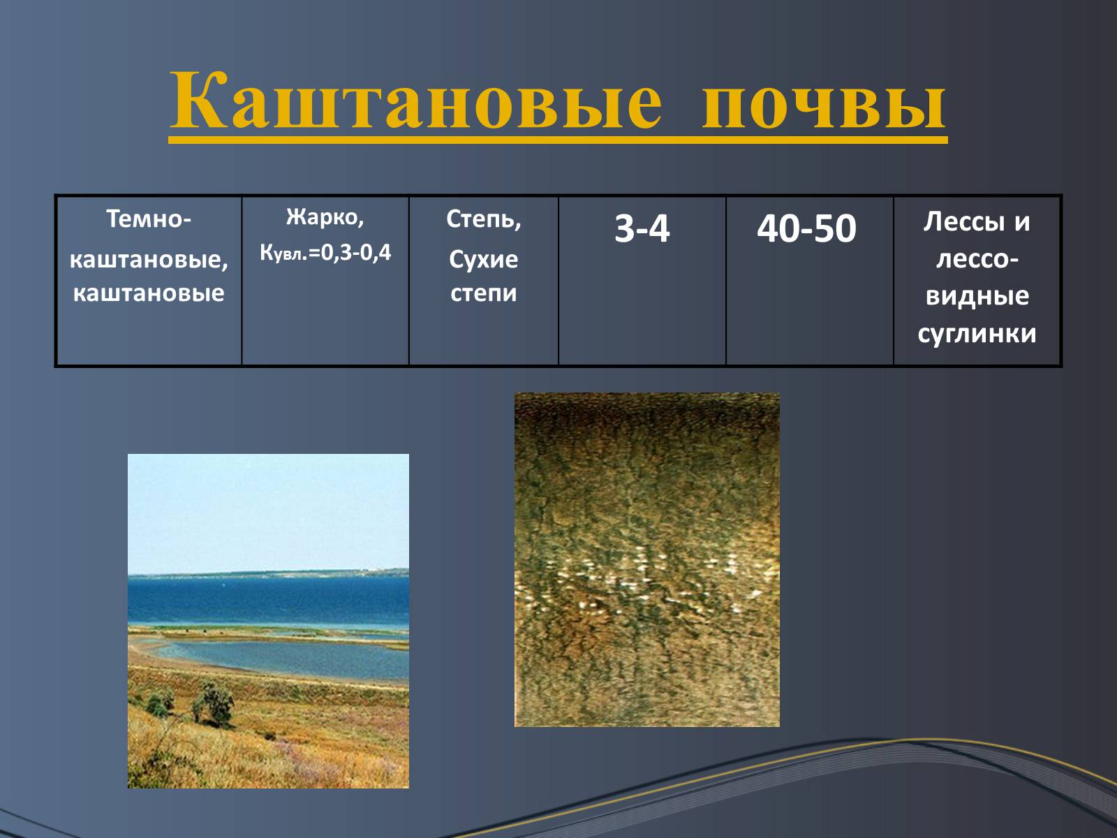 Презентація на тему «Почвы Украины» - Слайд #22