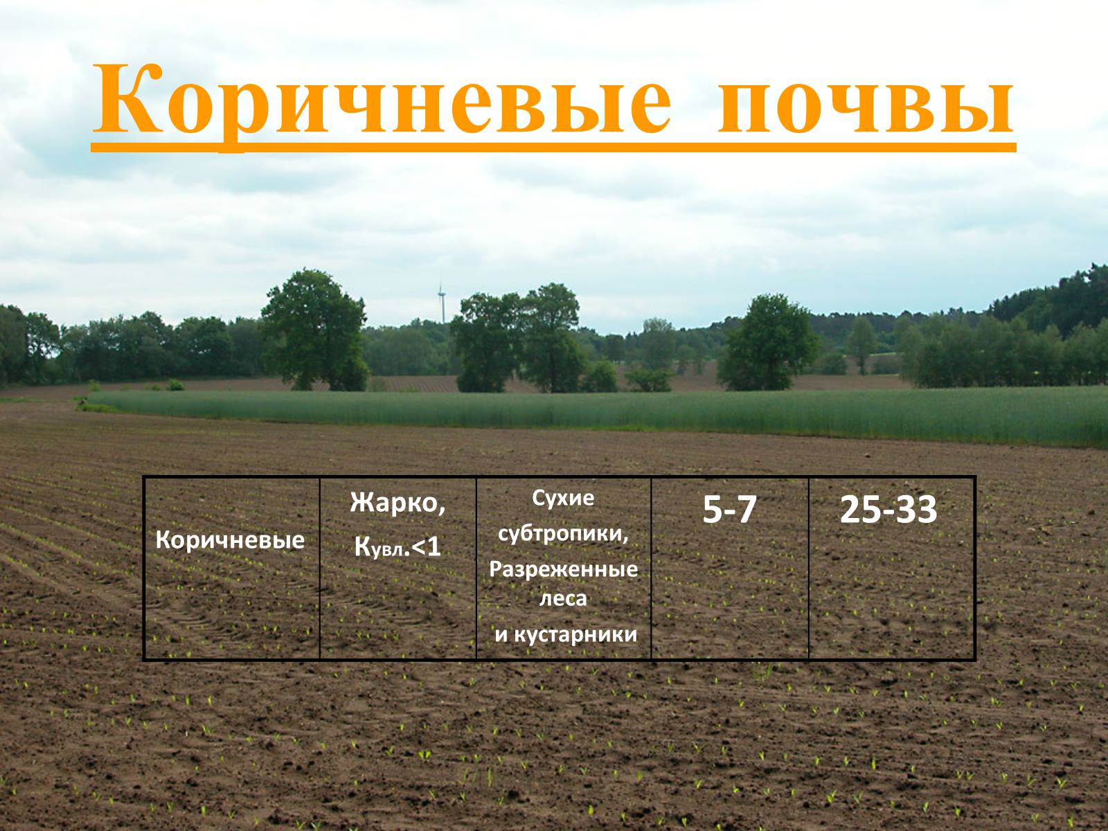 Презентація на тему «Почвы Украины» - Слайд #24