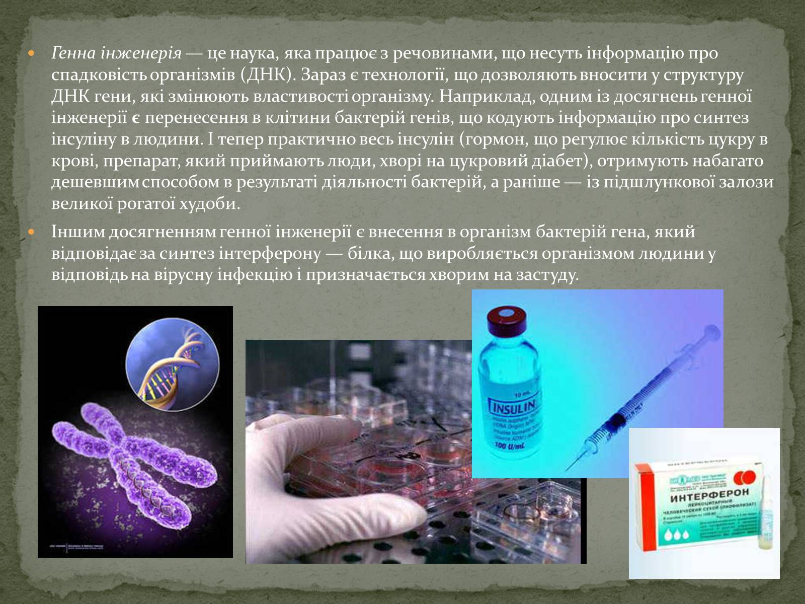 Презентація на тему «Корисні бактерії» (варіант 1) - Слайд #20