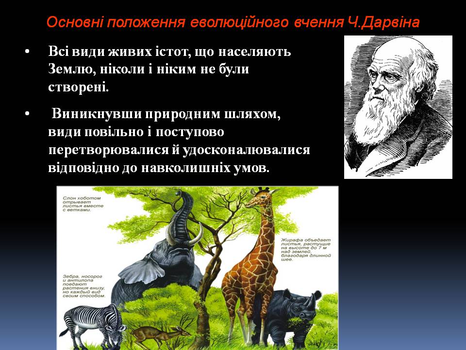 Презентація на тему «Еволюційне вчення Чарльза Дарвіна» - Слайд #3
