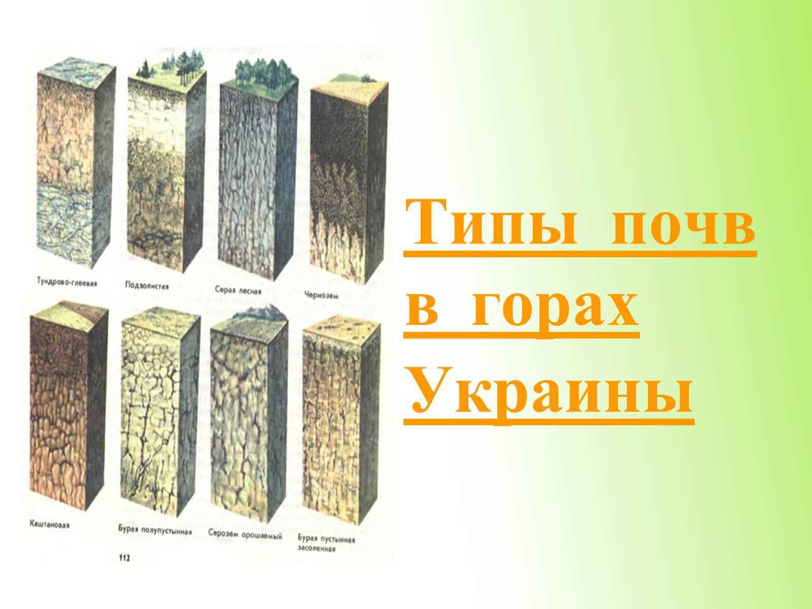Презентація на тему «Почвы Украины» - Слайд #25