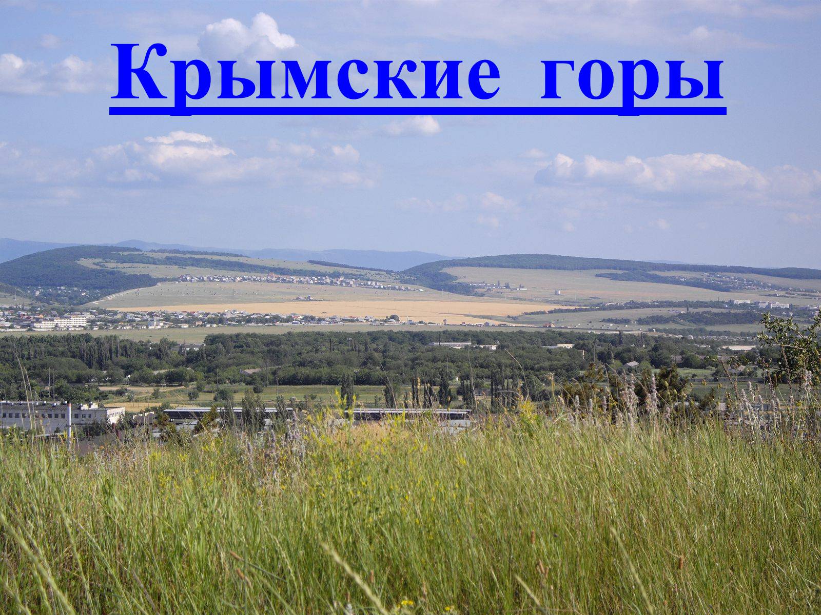 Презентація на тему «Почвы Украины» - Слайд #29