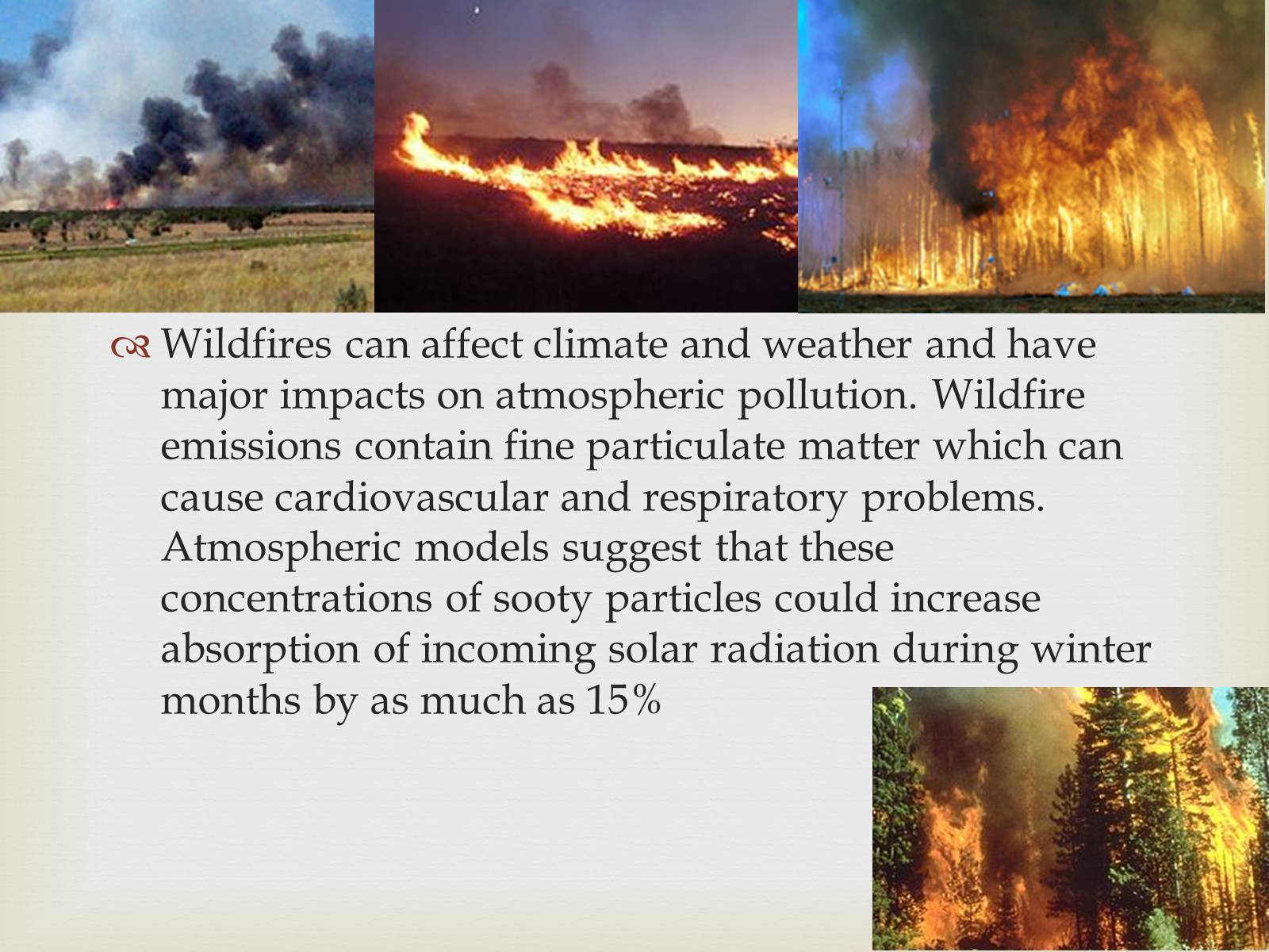 Презентація на тему «Wildfire» - Слайд #6