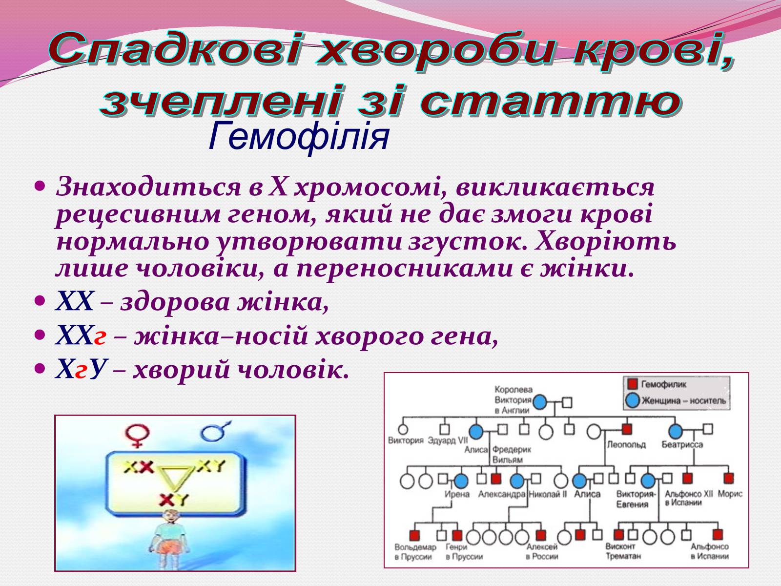 Презентація на тему «Генетика людини» (варіант 3) - Слайд #11