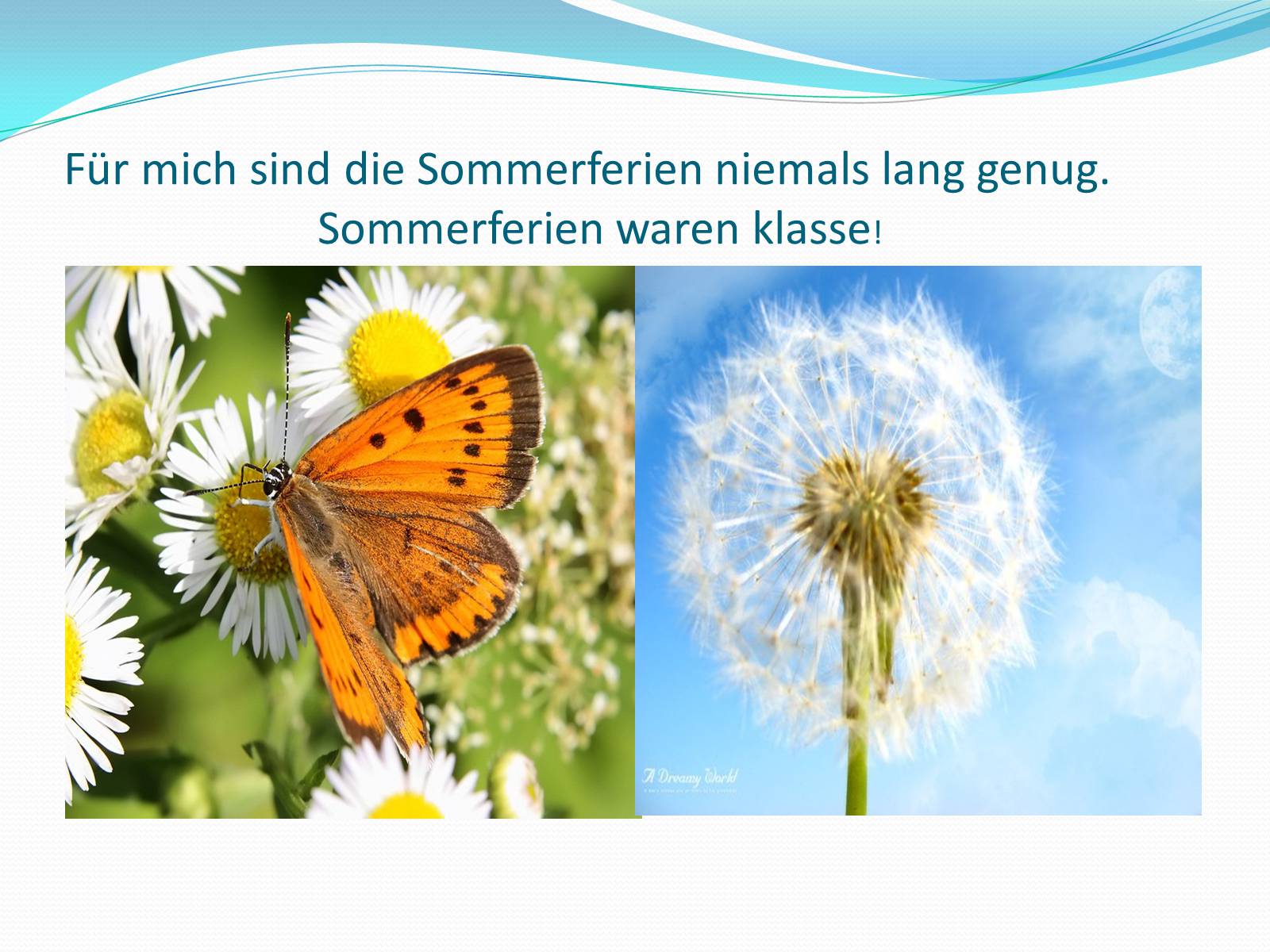 Презентація на тему «Sommerferien» - Слайд #6