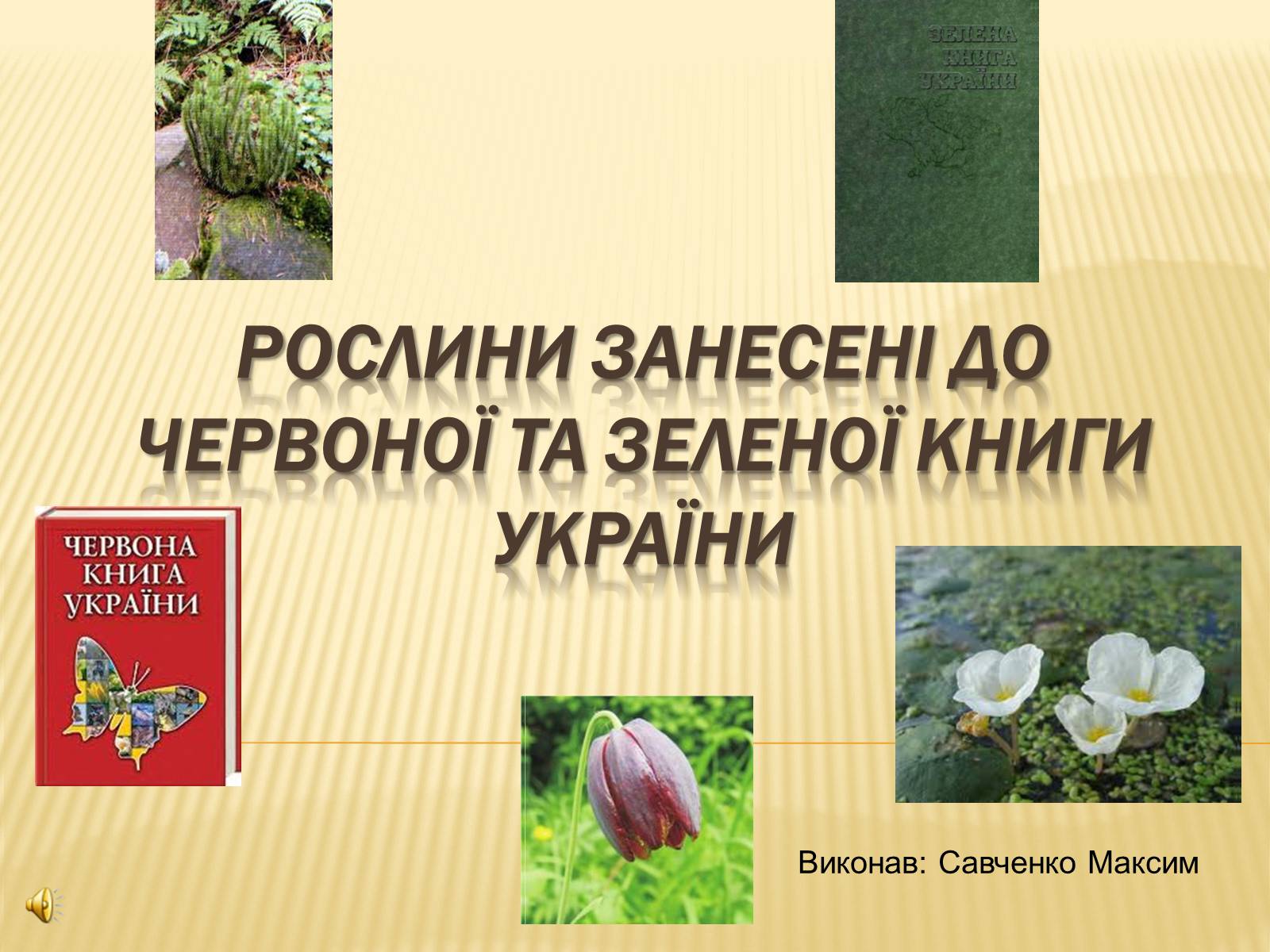 Презентація на тему «Рослини занесені до Червоної та Зеленої книги України» (варіант 2) - Слайд #1