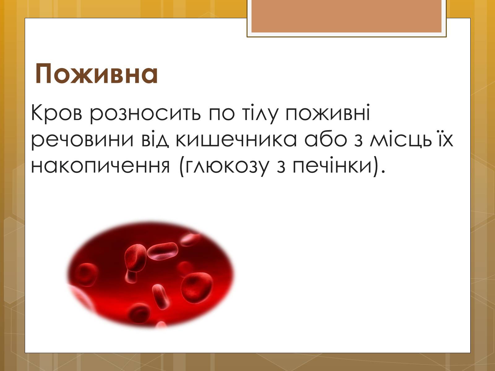 Презентація на тему «Функції крові. Групи крові» - Слайд #3