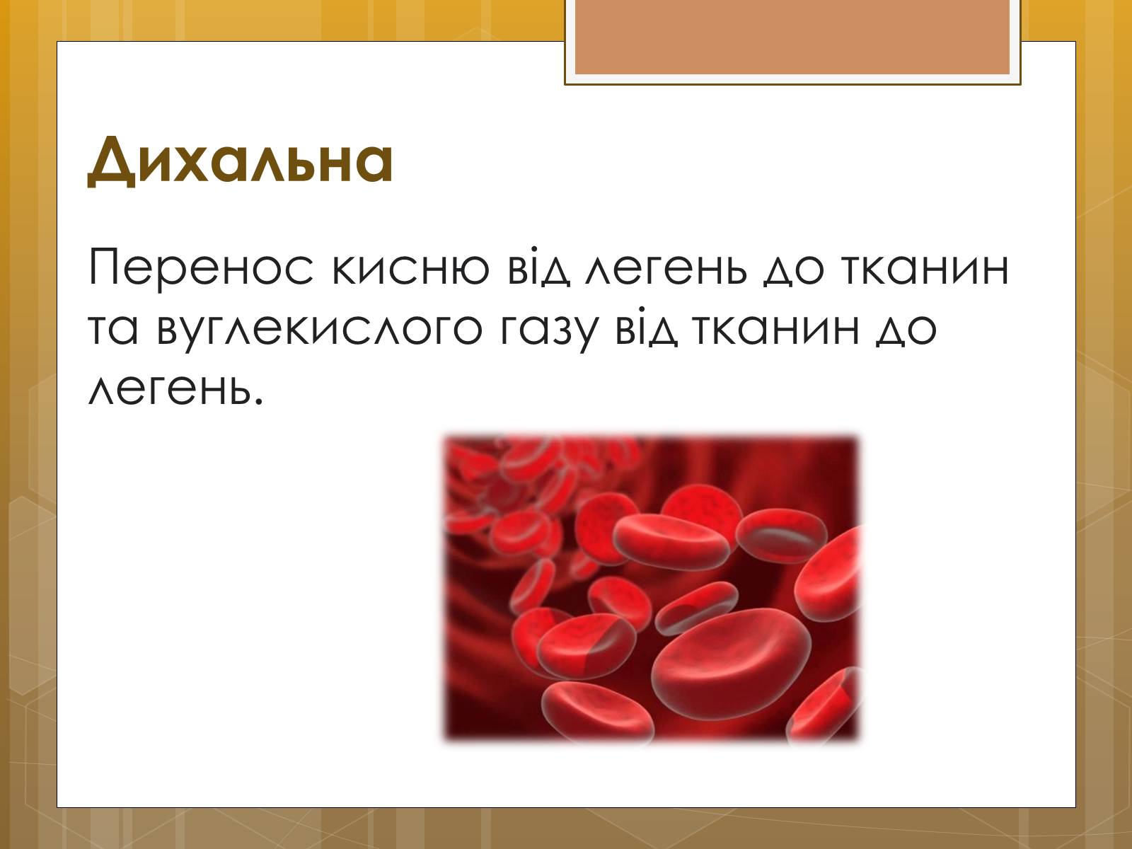 Презентація на тему «Функції крові. Групи крові» - Слайд #5