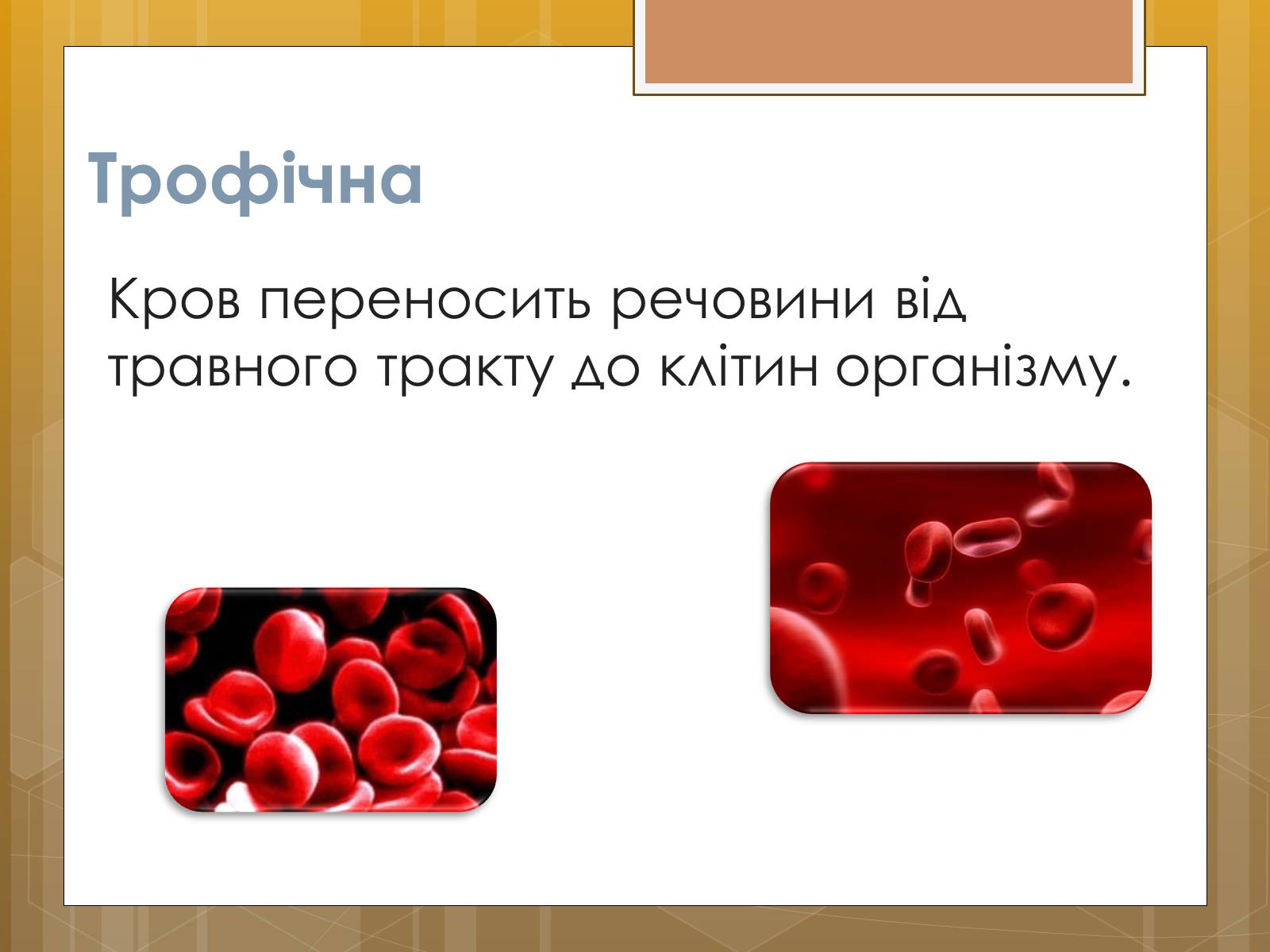 Презентація на тему «Функції крові. Групи крові» - Слайд #10