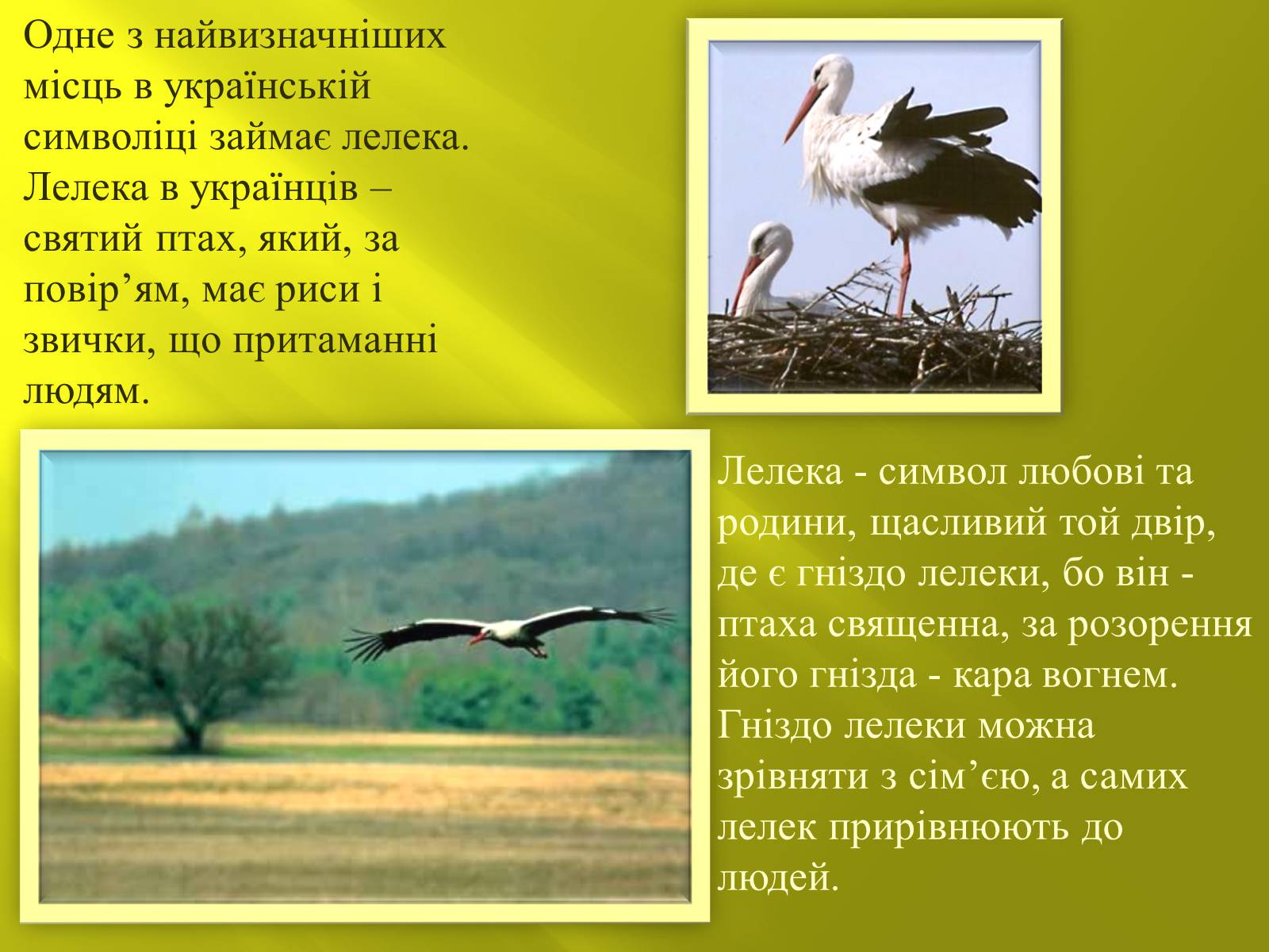 Презентація на тему «Символіка українських народних пісень» - Слайд #13