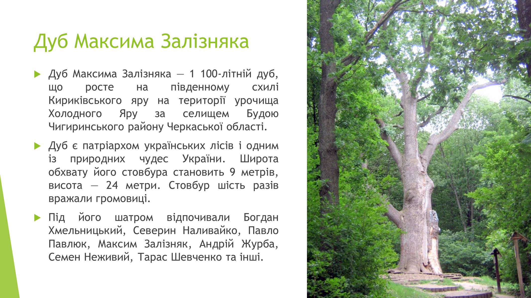 Презентація на тему «Пам’ятки природи України» - Слайд #2