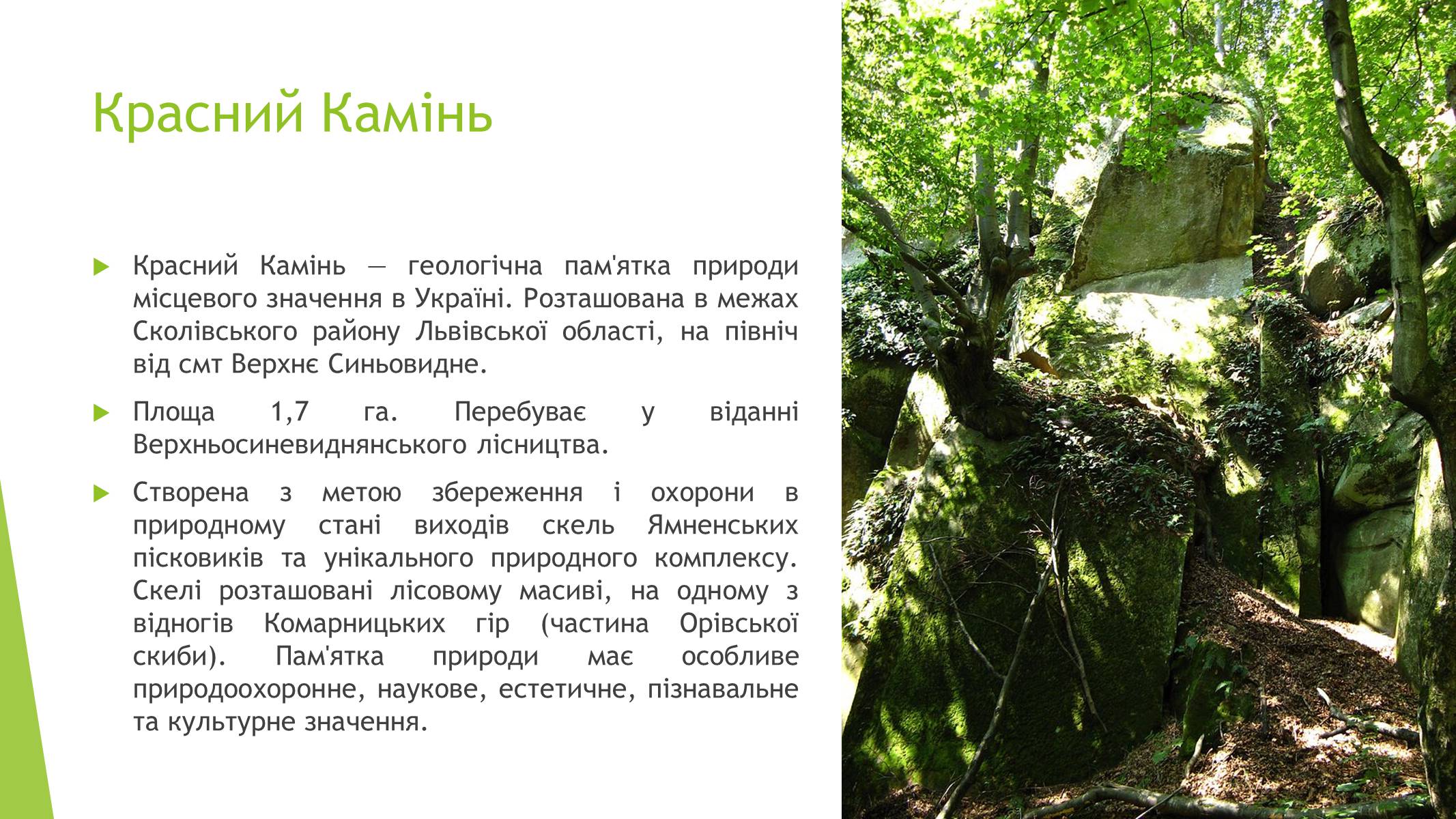 Презентація на тему «Пам’ятки природи України» - Слайд #4
