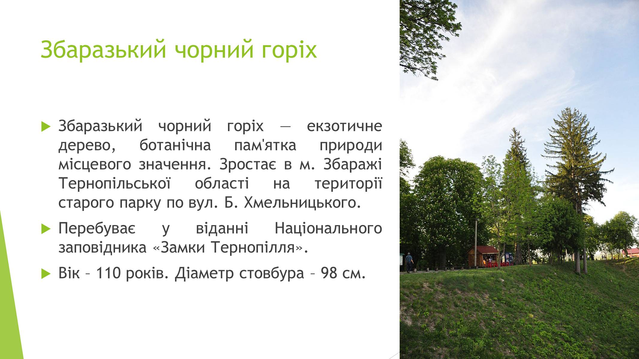 Презентація на тему «Пам’ятки природи України» - Слайд #5
