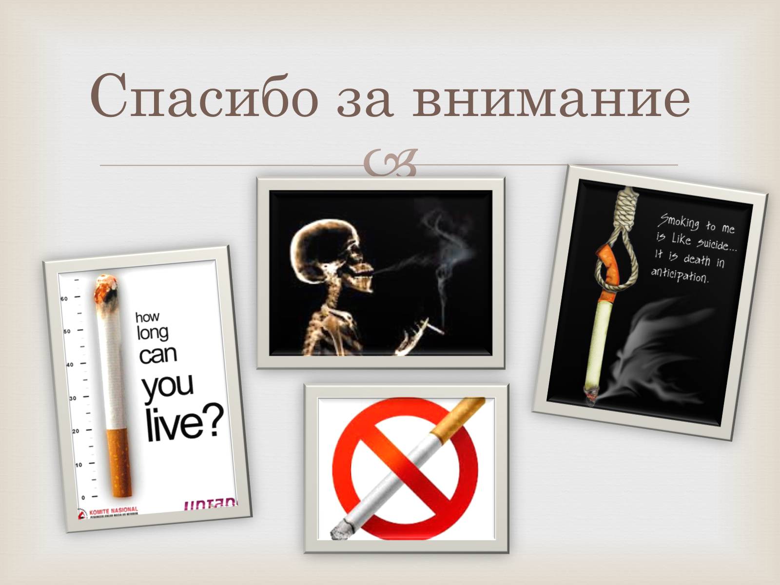 Презентація на тему «История табака в мире» - Слайд #12