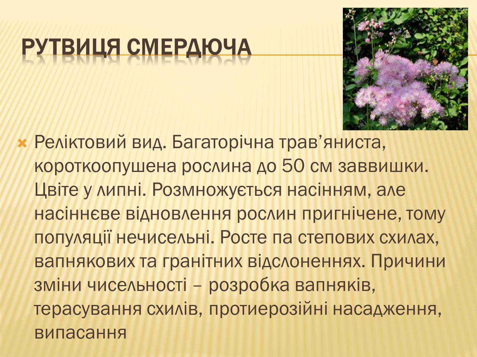 Презентація на тему «Рослини Червоної Книги України» (варіант 2) - Слайд #2