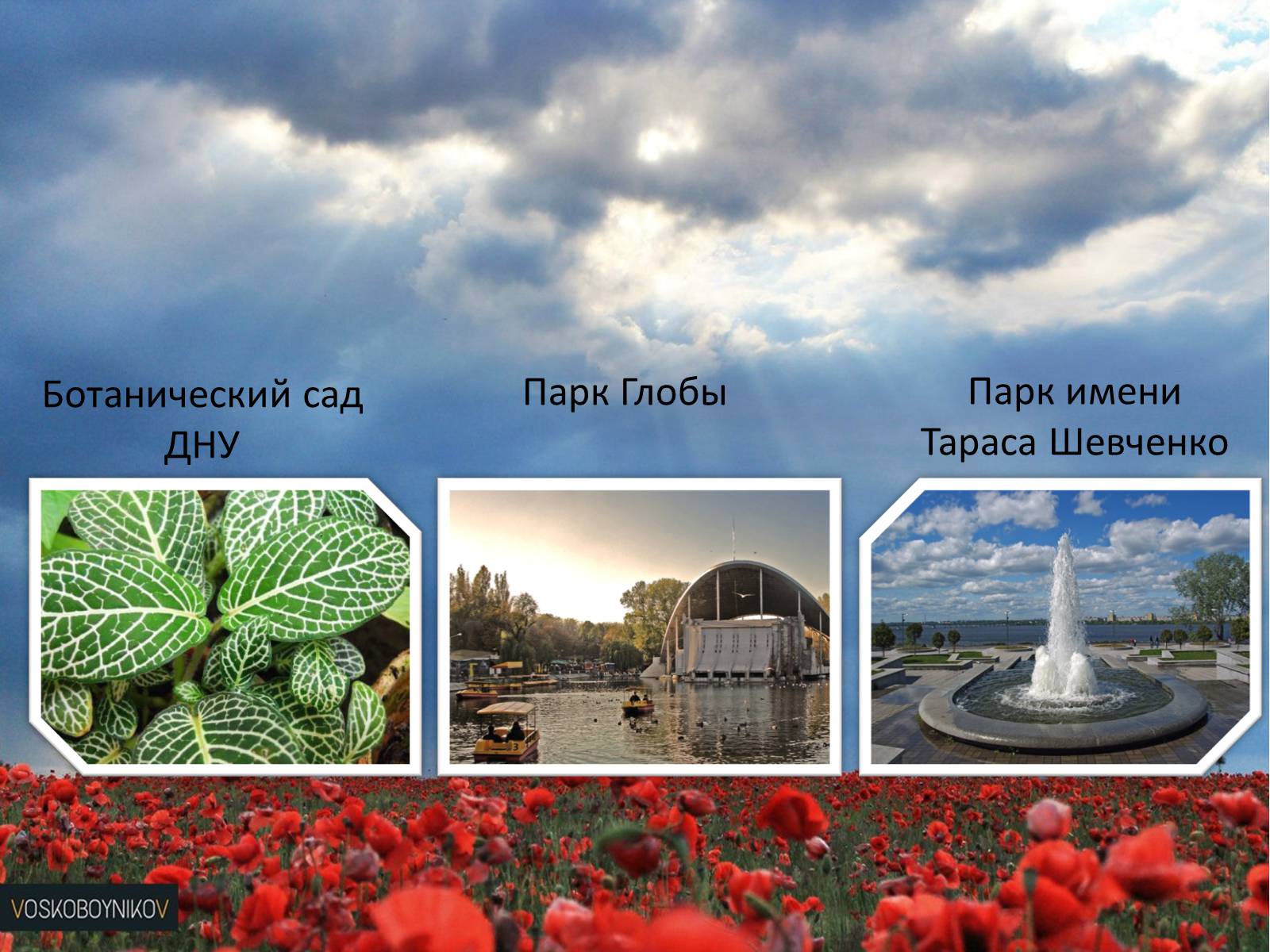 Презентація на тему «Парки Днепропетровска» - Слайд #2