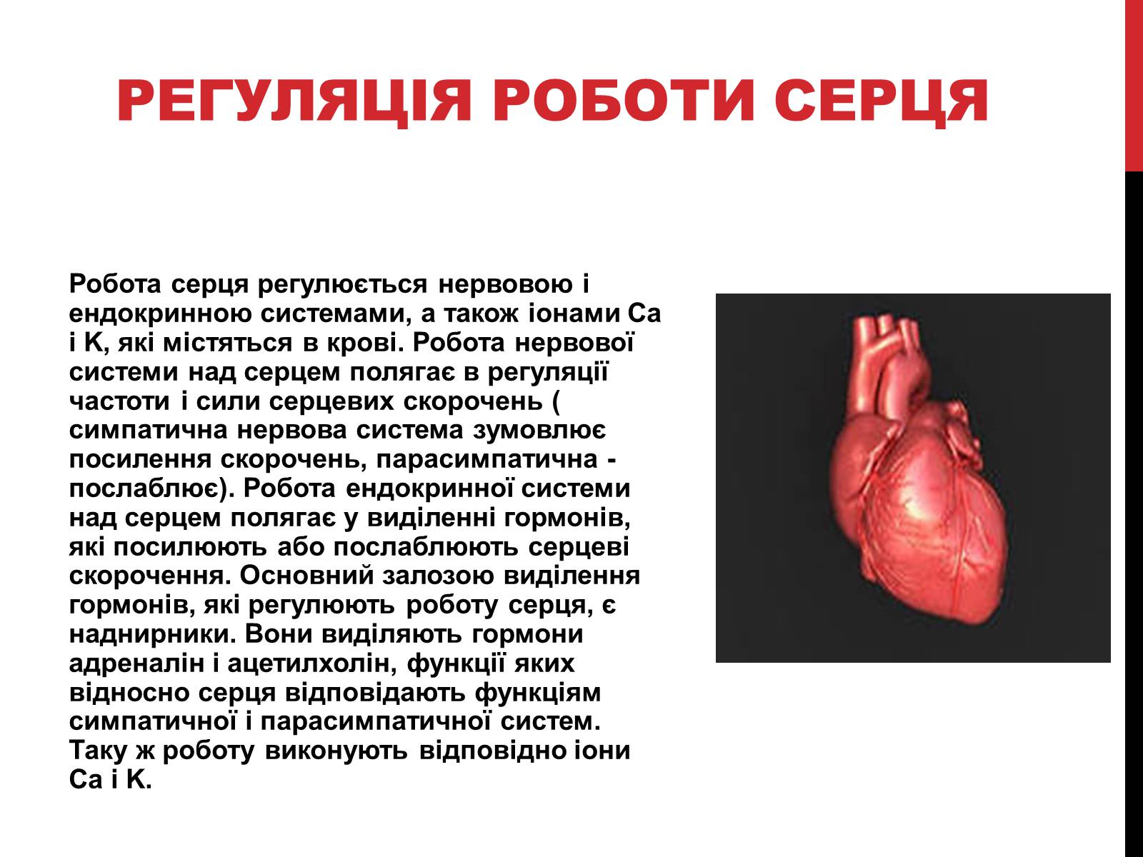 Презентація на тему «Серце людини» (варіант 2) - Слайд #9