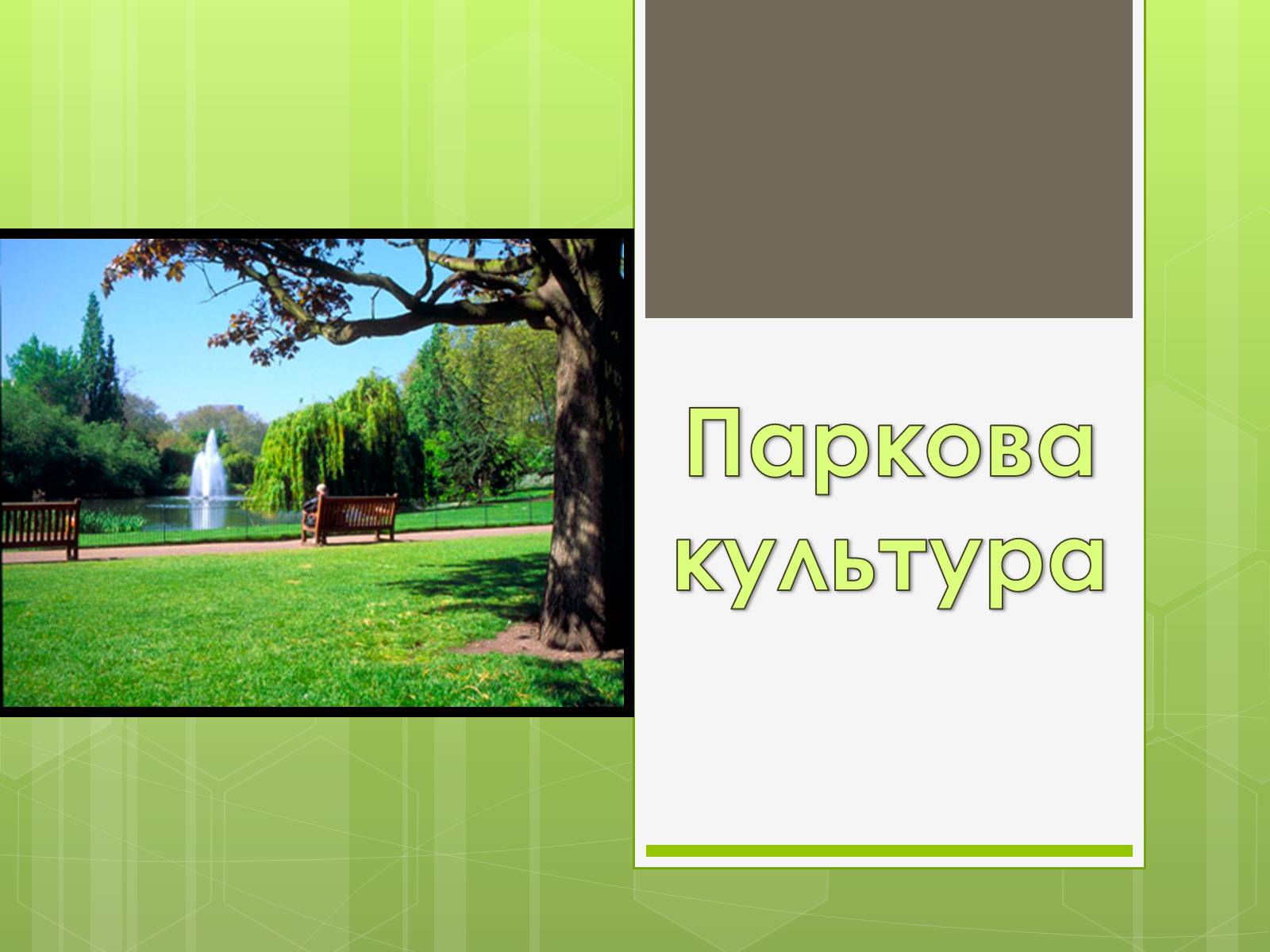 Презентація на тему «Паркова культура» (варіант 12) - Слайд #1