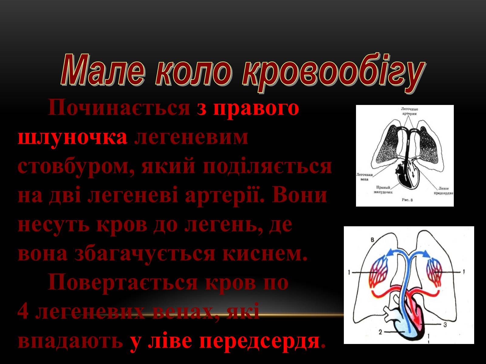 Презентація на тему «Кровообіг і лімфообіг людини» - Слайд #7