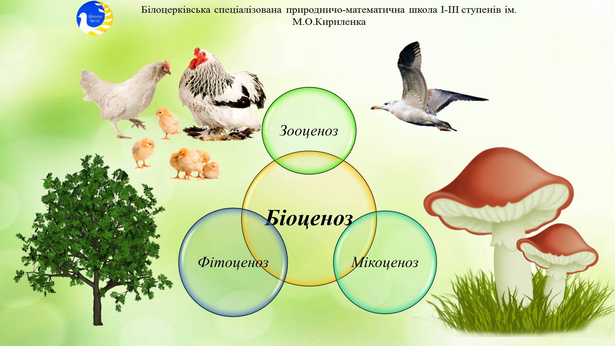 Презентація на тему «Екосистема. Біосфера» - Слайд #6