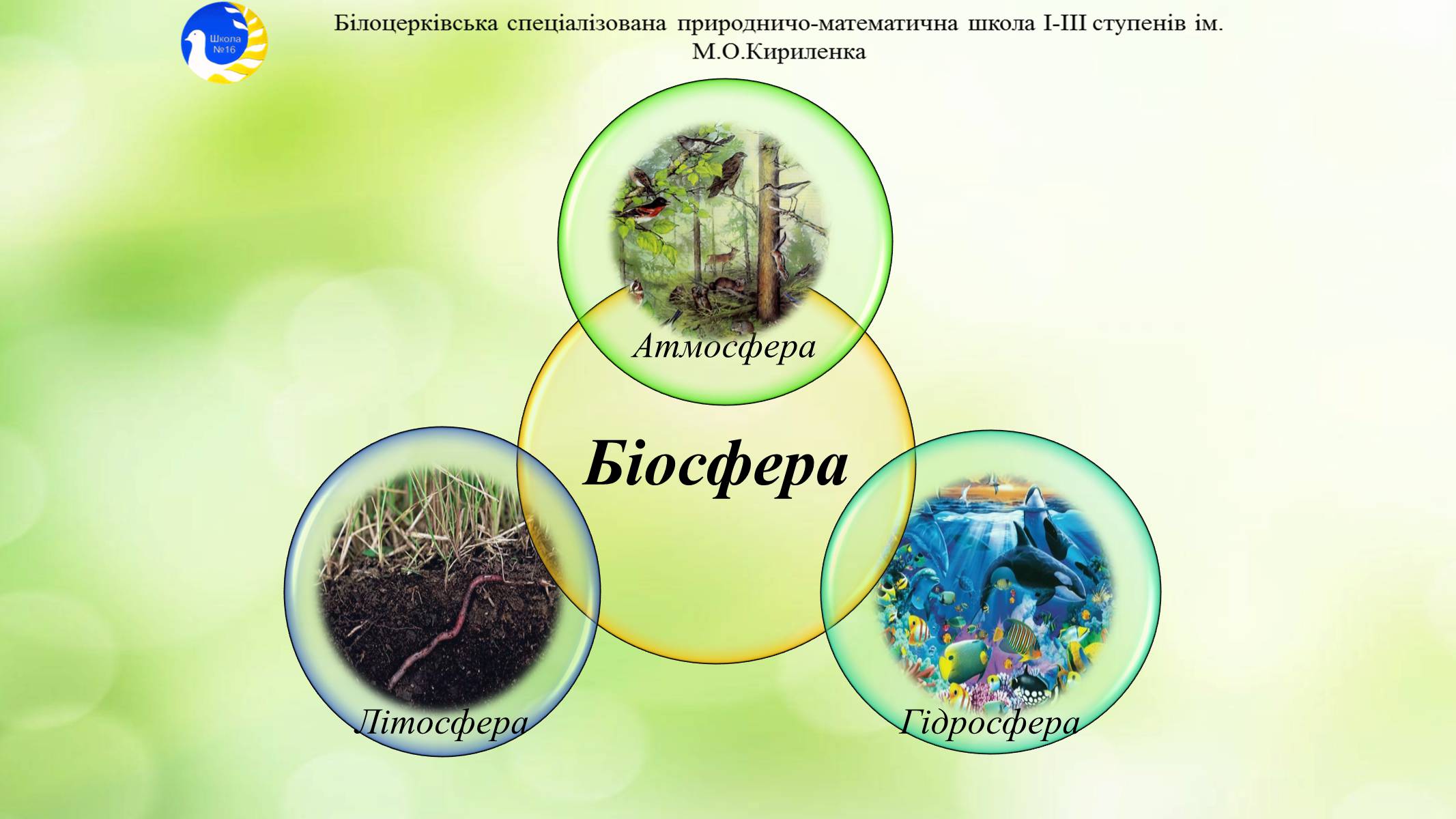 Презентація на тему «Екосистема. Біосфера» - Слайд #17