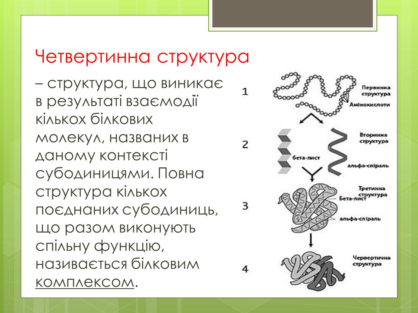 Презентація на тему «Органічні речовини в живій природі» (варіант 2) - Слайд #7