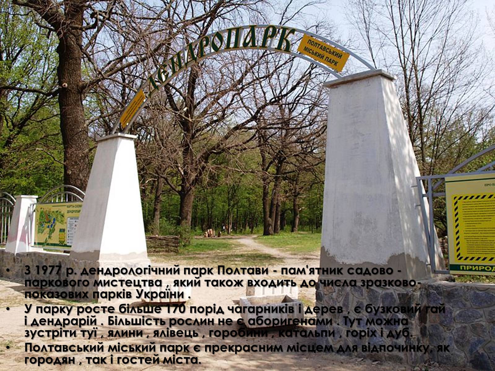 Презентація на тему «Полтавський міський парк» - Слайд #8