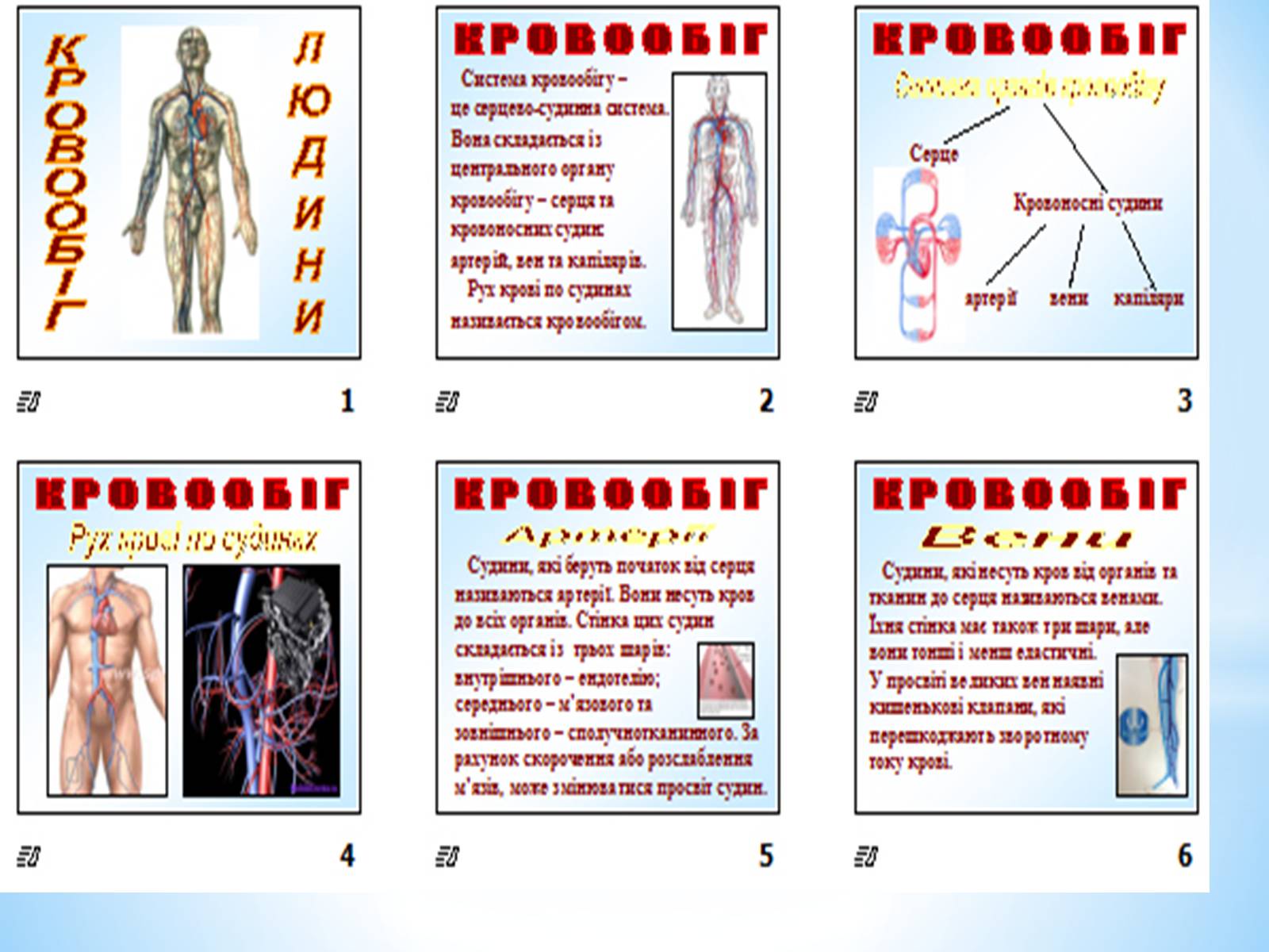 Презентація на тему «Кровоносна система» (варіант 1) - Слайд #2