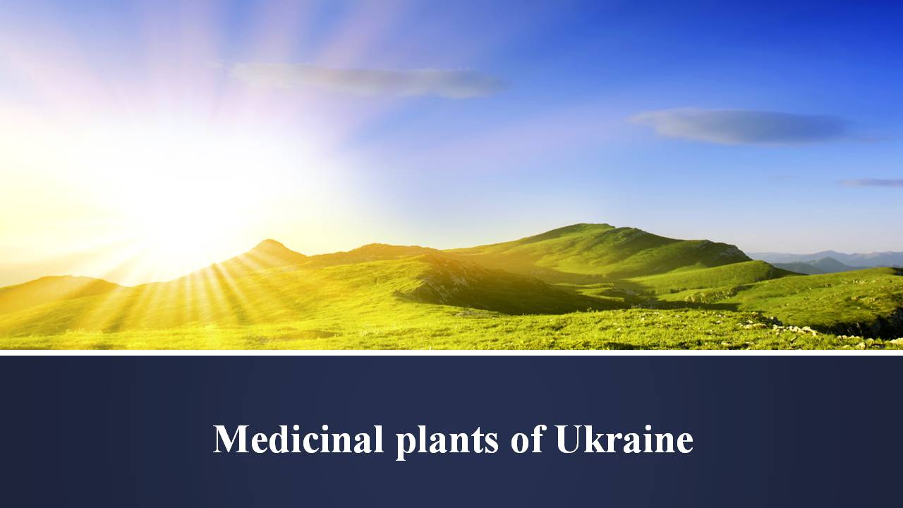 Презентація на тему «Medicinal plants of Ukraine» - Слайд #1