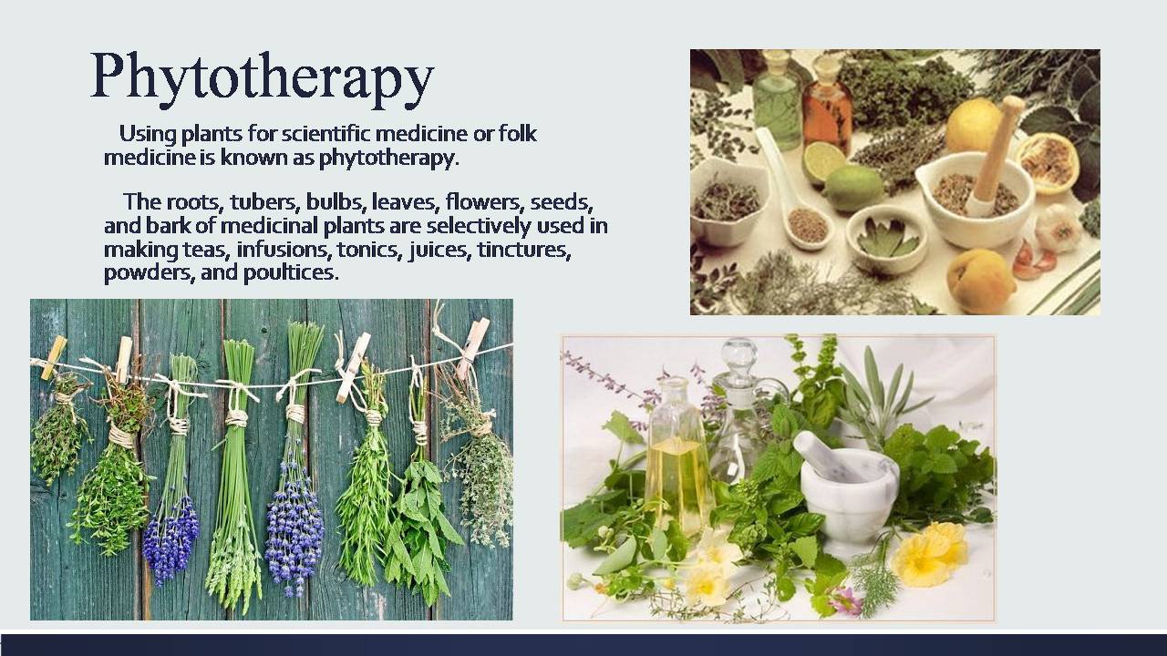 Презентація на тему «Medicinal plants of Ukraine» - Слайд #2