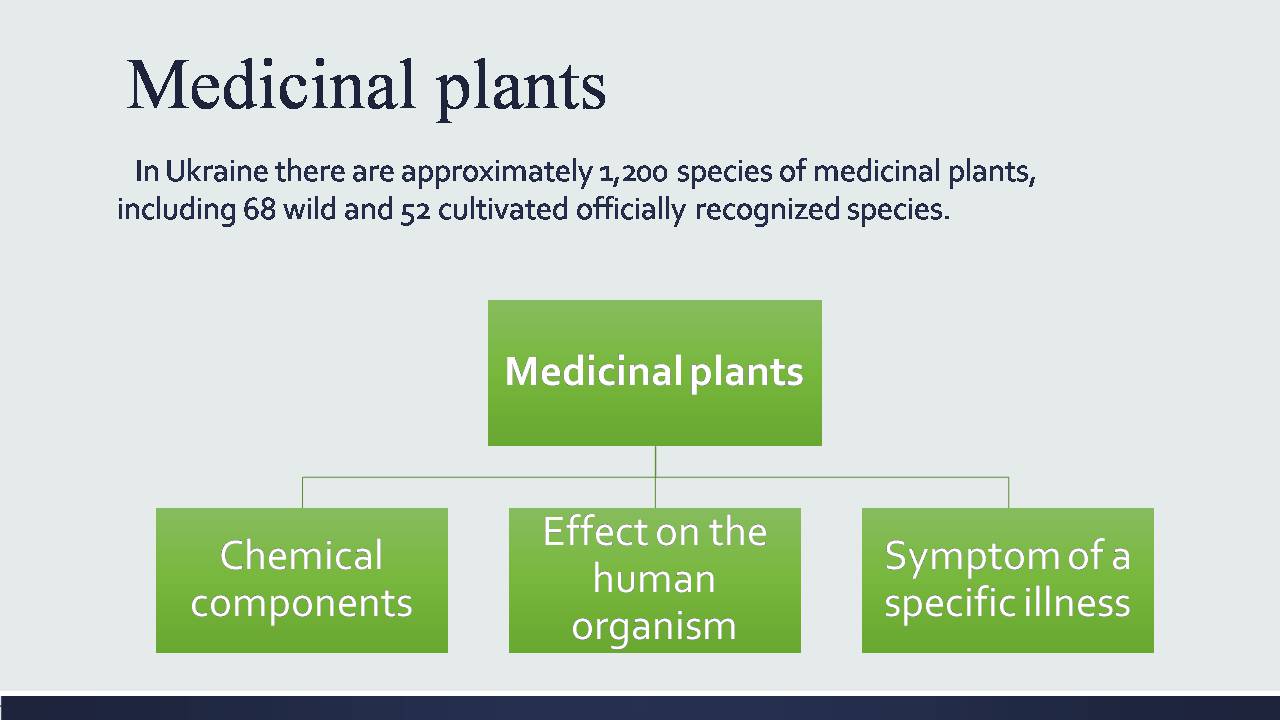 Презентація на тему «Medicinal plants of Ukraine» - Слайд #3