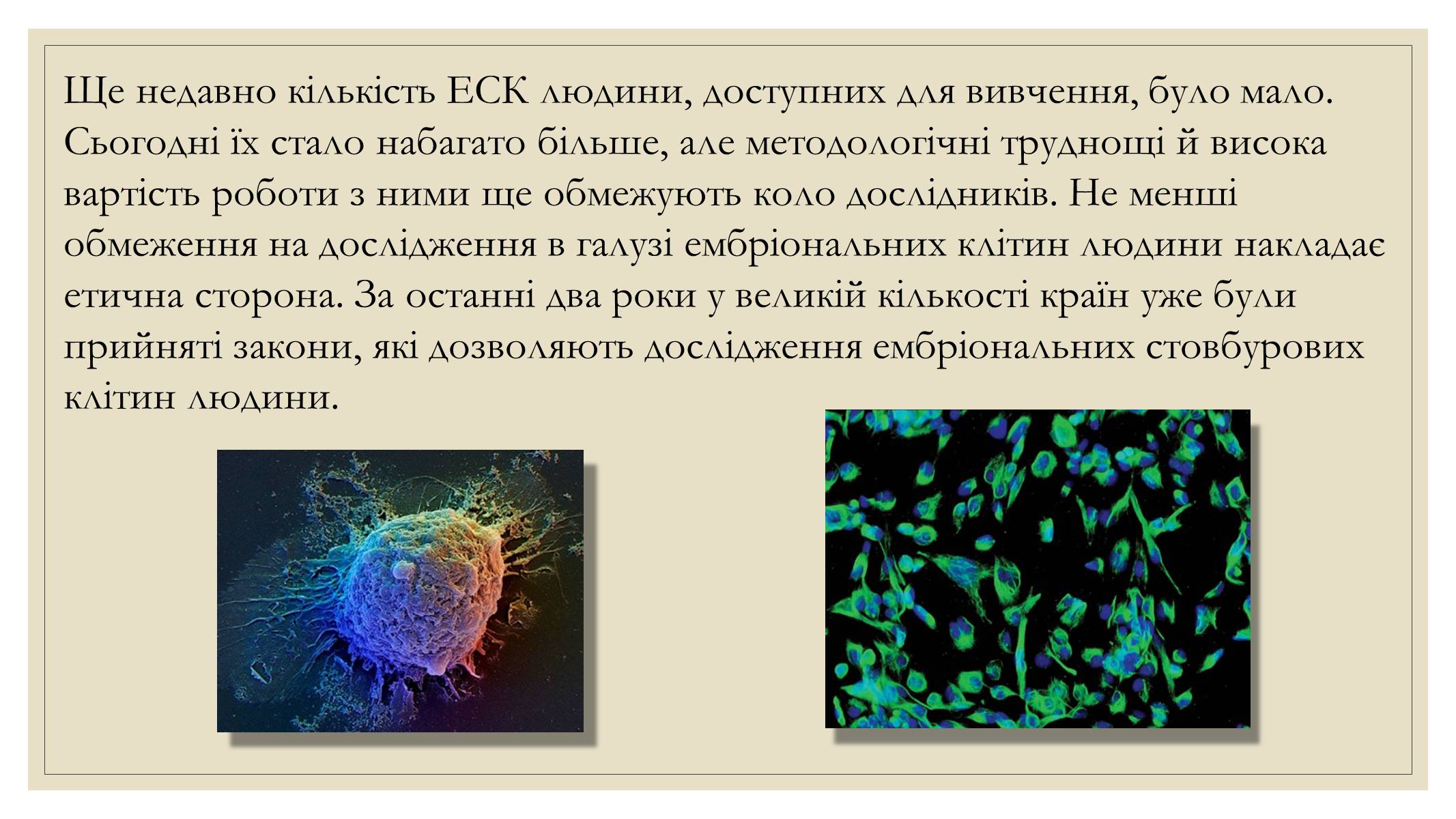 Презентація на тему «Ембріотехнології та стовбурові клітини. Клонування» - Слайд #8
