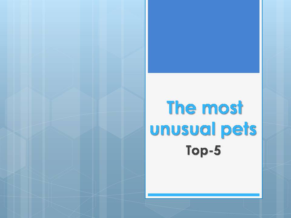 Презентація на тему «The most unusual pets» - Слайд #1