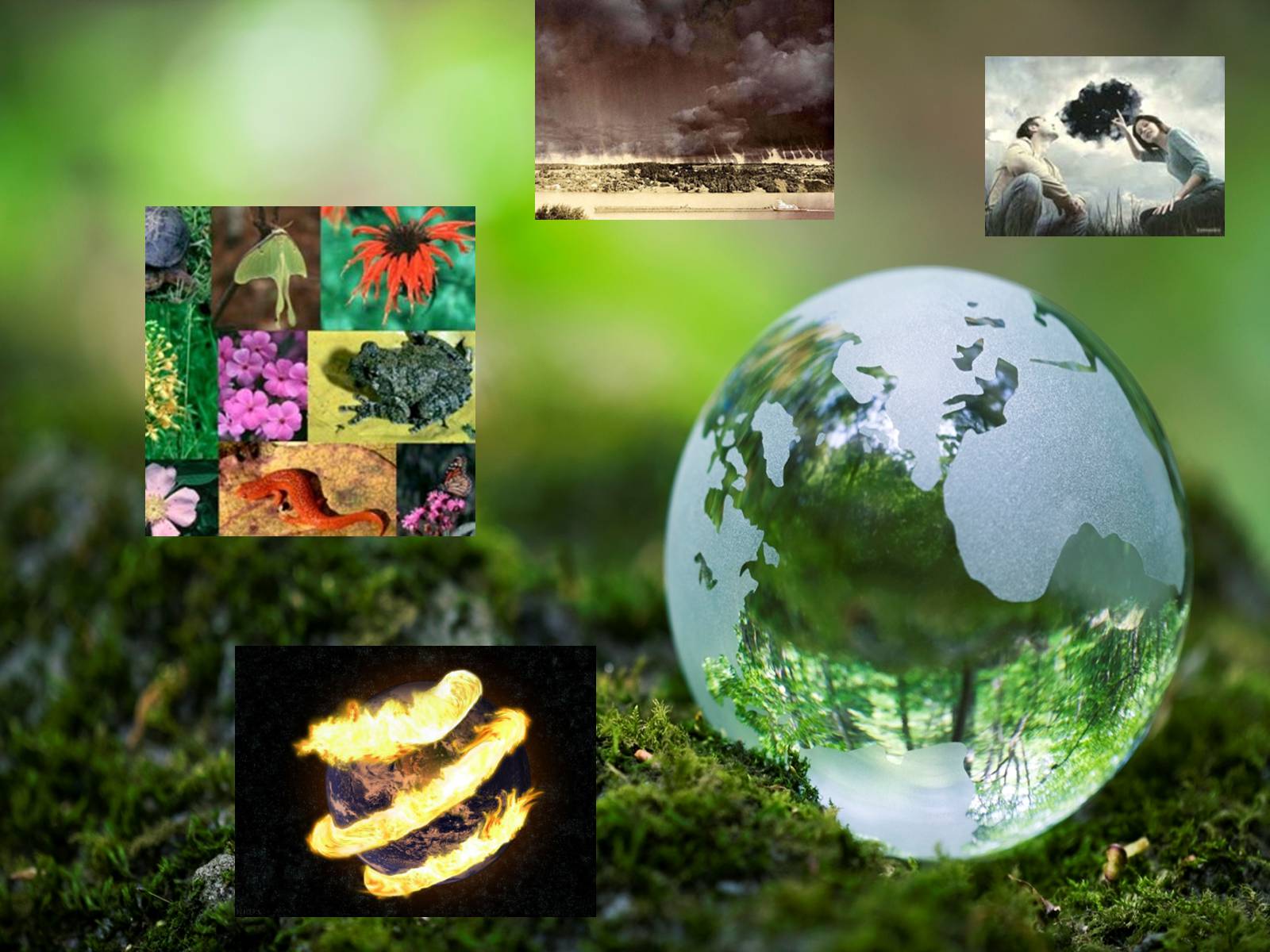 Презентація на тему «World Problems of Ecology» - Слайд #2