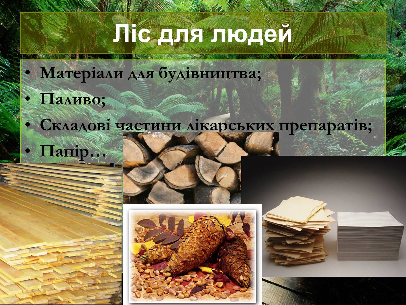 Презентація на тему «Лісові ресурси світу» - Слайд #9