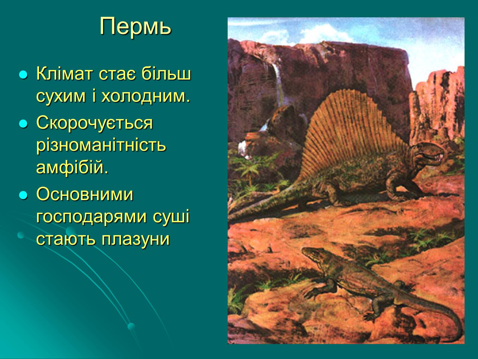 Презентація на тему «Палеозойська ера» (варіант 3) - Слайд #11