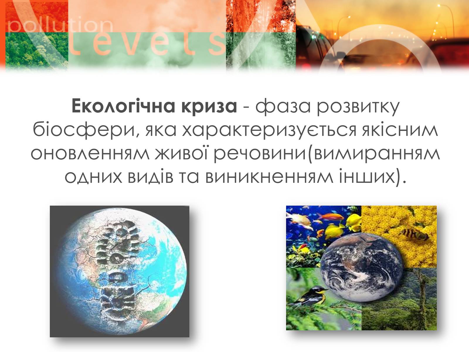 Презентація на тему «Екологічні проблеми» (варіант 8) - Слайд #11