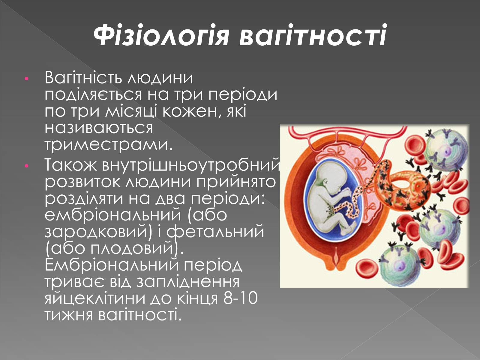 Презентація на тему «Розмноження та розвиток людини» (варіант 1) - Слайд #9