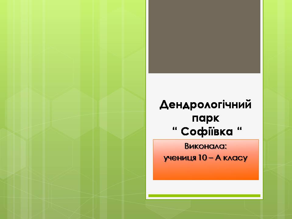 Презентація на тему «Дендрологічний парк “ Софіївка “» - Слайд #1
