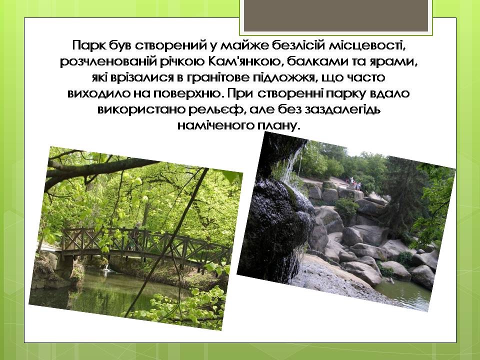 Презентація на тему «Дендрологічний парк “ Софіївка “» - Слайд #5