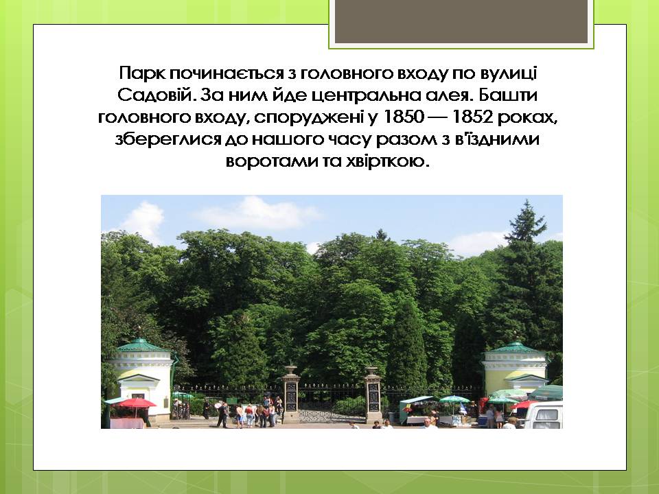 Презентація на тему «Дендрологічний парк “ Софіївка “» - Слайд #6