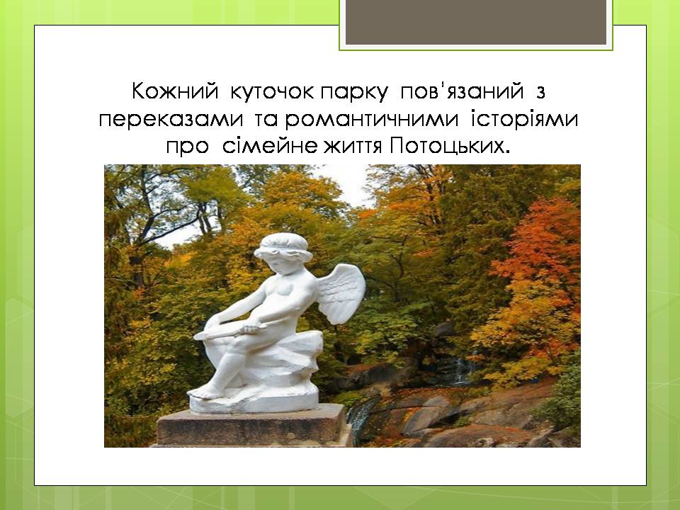 Презентація на тему «Дендрологічний парк “ Софіївка “» - Слайд #9