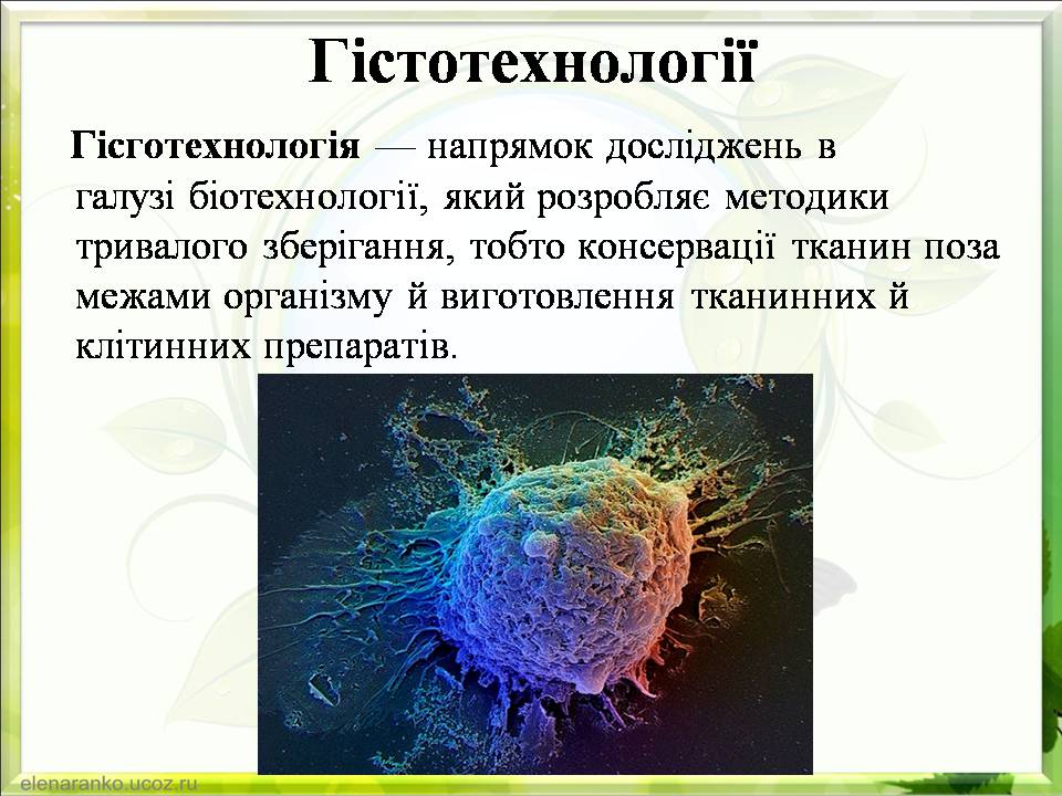Презентація на тему «Гістотехнології.Штучні тканини» - Слайд #3