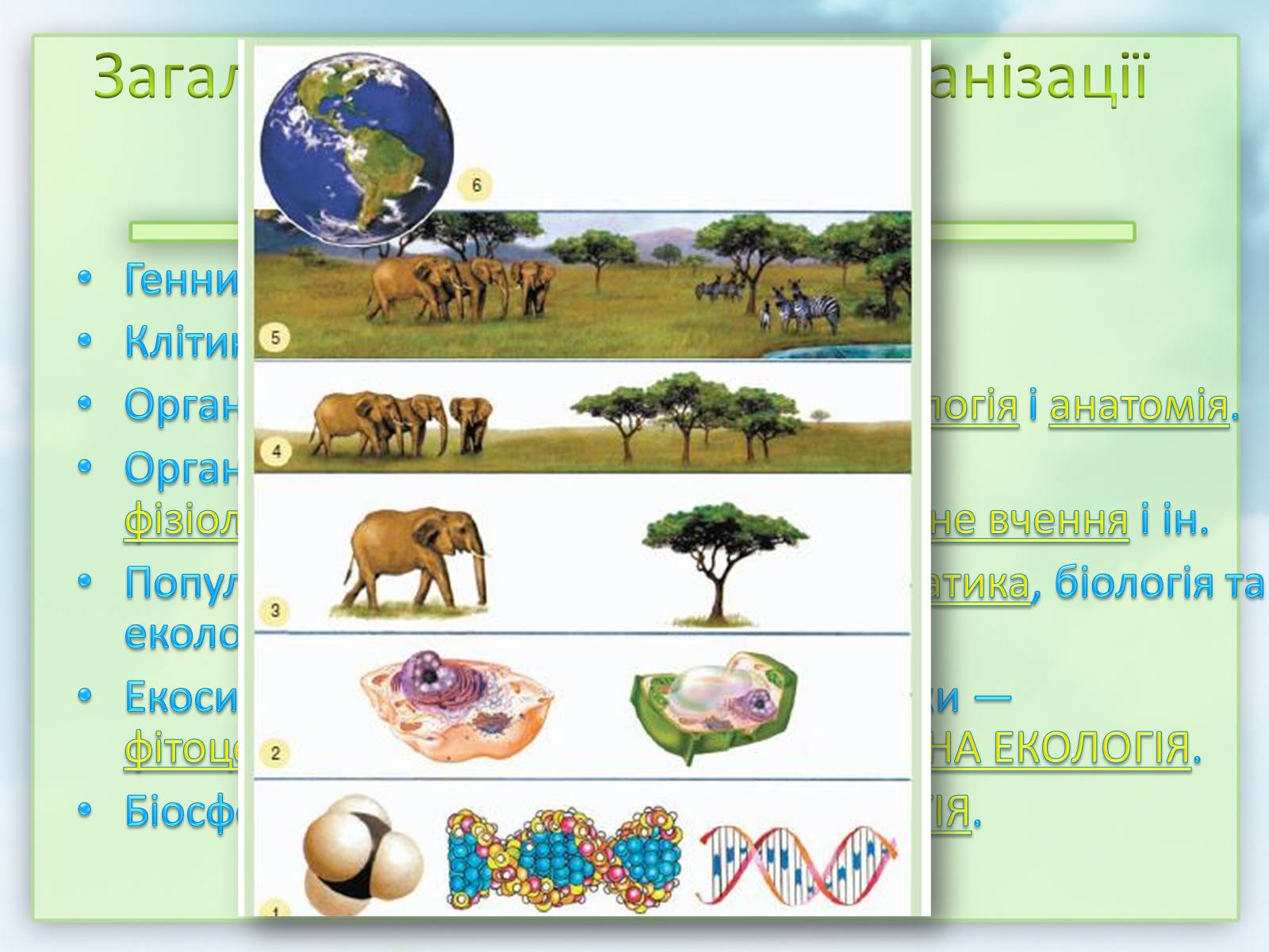 Презентація на тему «Екологія» (варіант 7) - Слайд #7