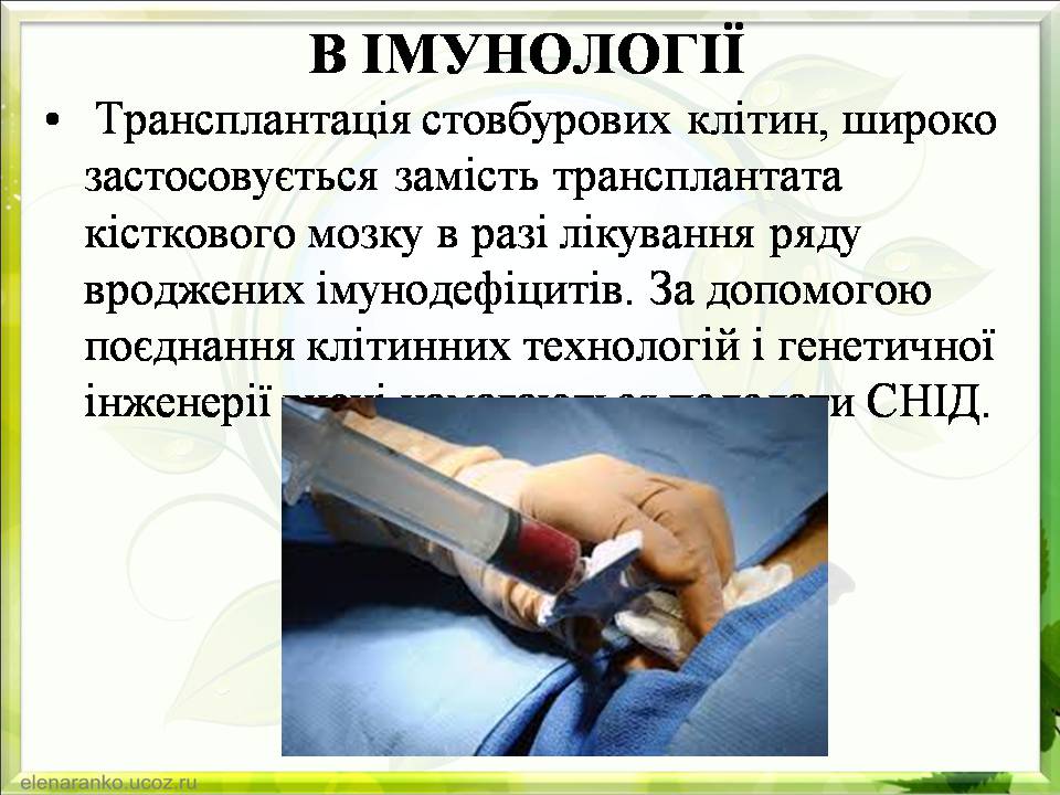 Презентація на тему «Гістотехнології.Штучні тканини» - Слайд #16