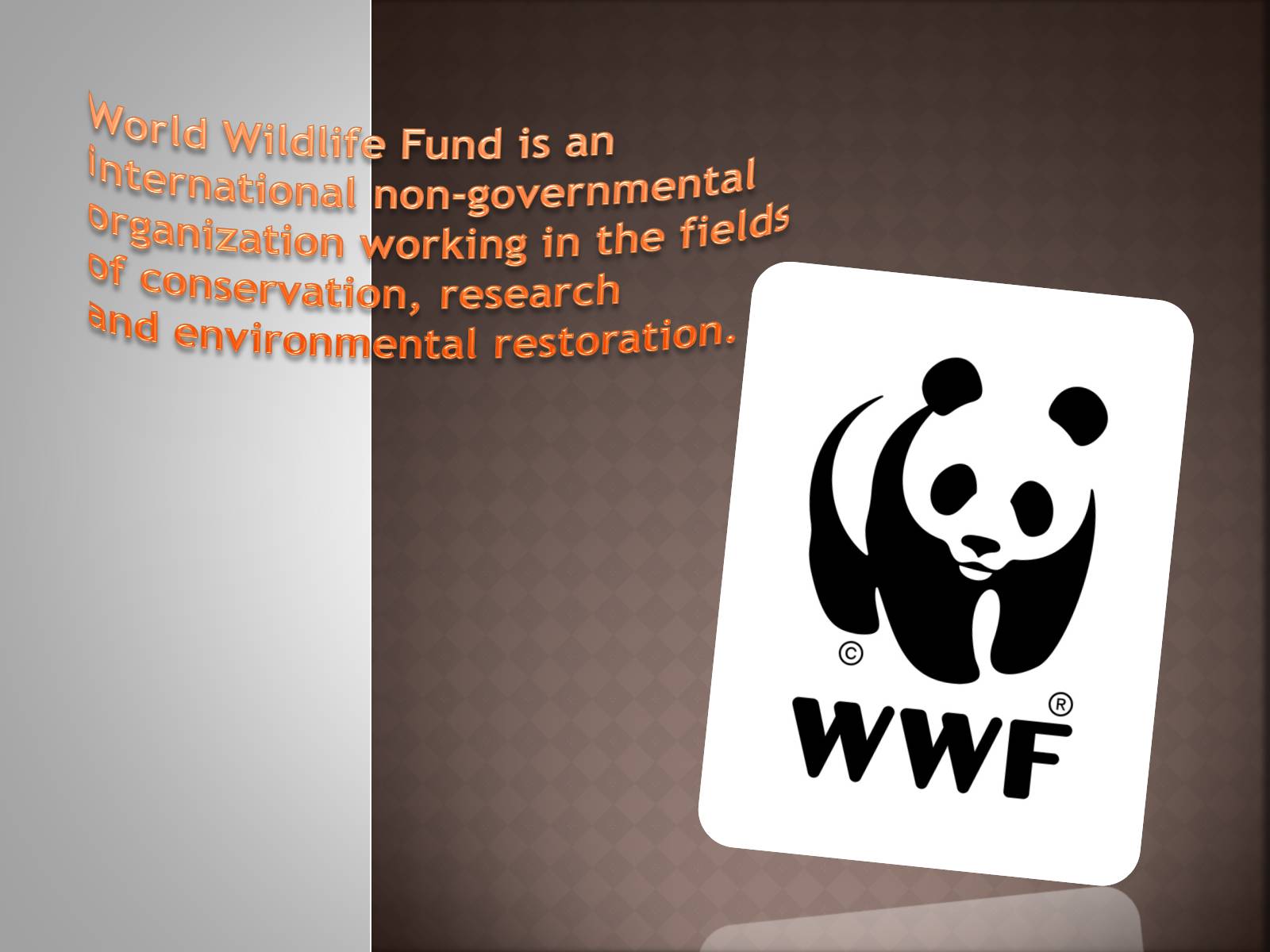 Презентація на тему «World Wildlife» - Слайд #1