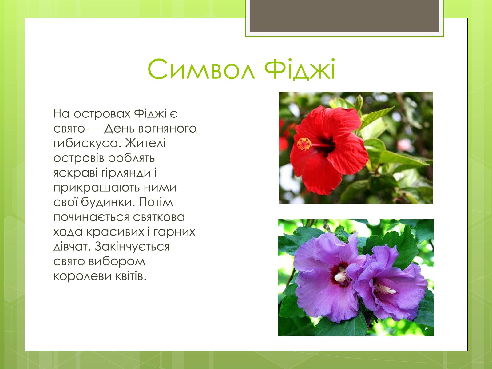 Презентація на тему «Рослини символи країн світу» - Слайд #10