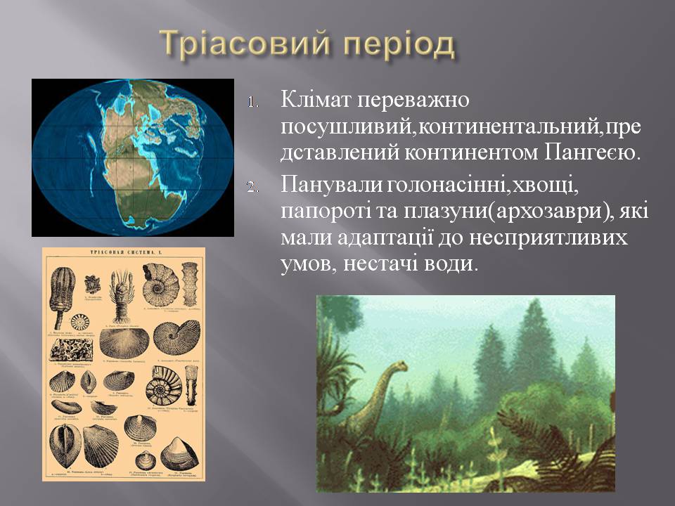 Презентація на тему «Розвиток органічного світу в мезозойську еру» (варіант 2) - Слайд #5