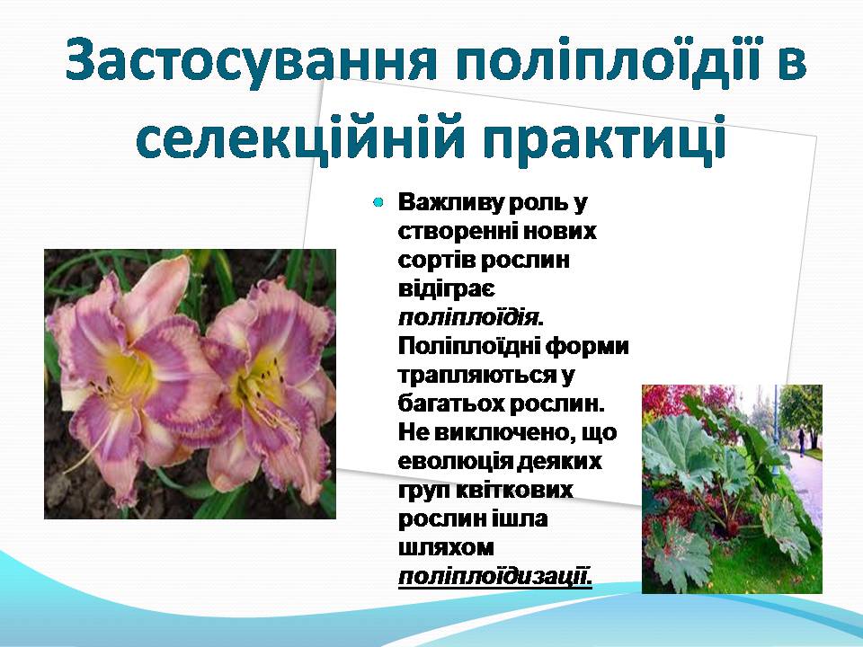 Презентація на тему «Генетичні основи селекції рослин» (варіант 3) - Слайд #6